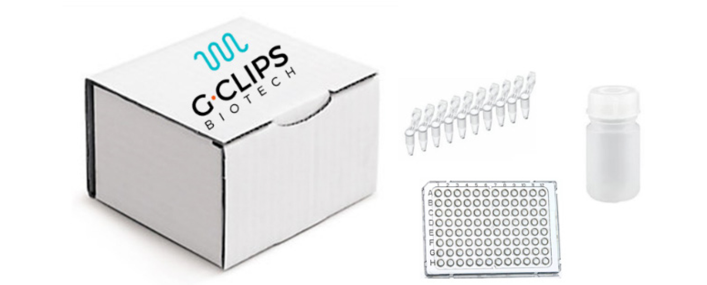 gclips-products